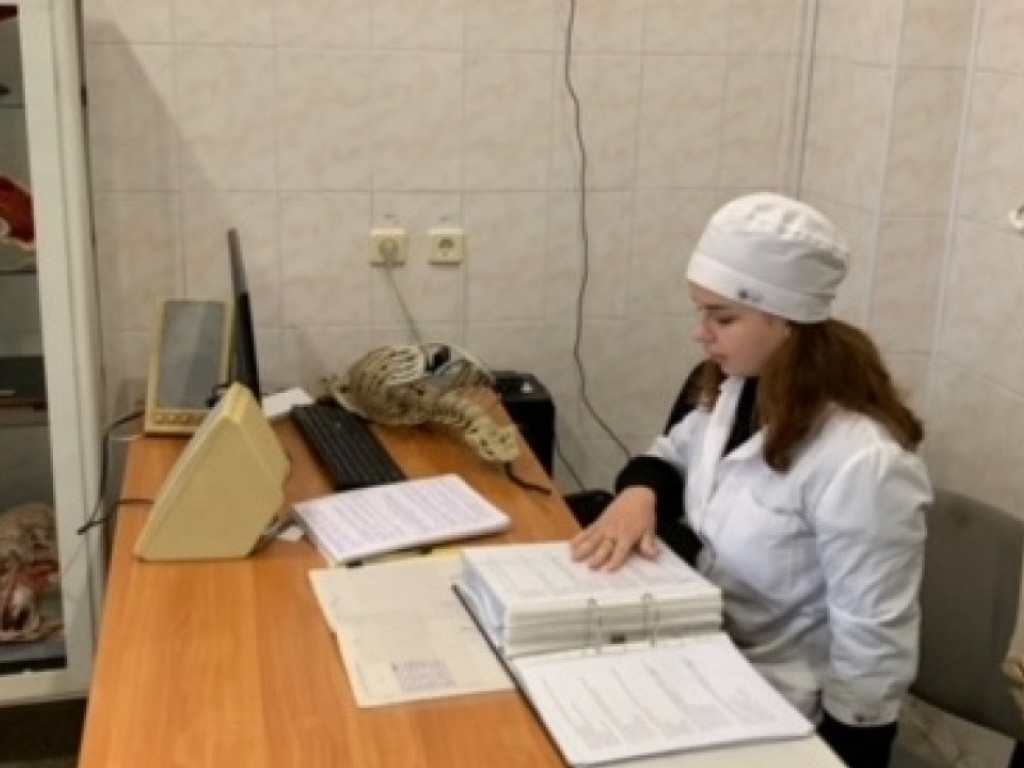 Студенти спробували взяти на себе роль викладача
