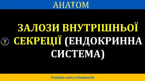 Відіотека.