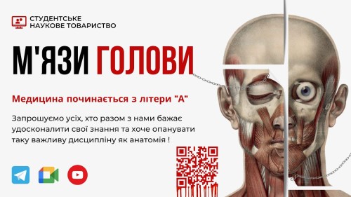 Відіотека.