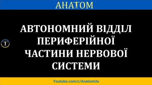 Відіотека.