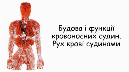 Відіотека.