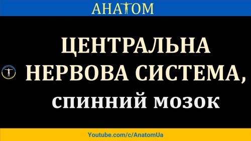 Відіотека.