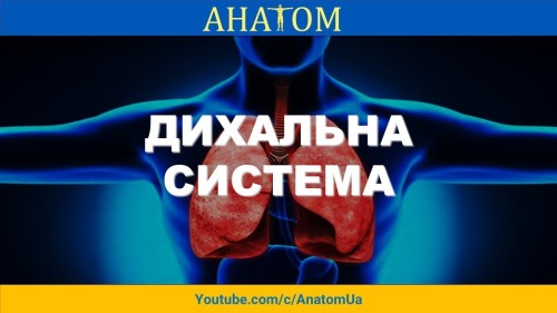 Відіотека.