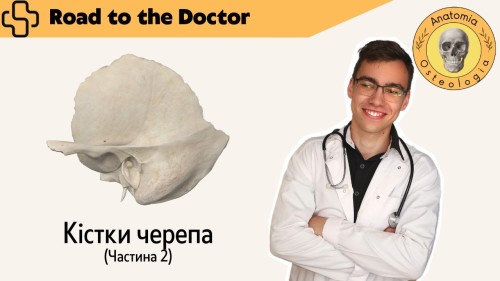Відіотека.