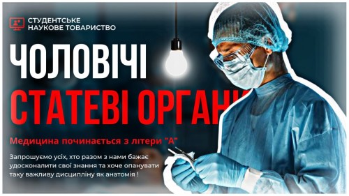 Відіотека.