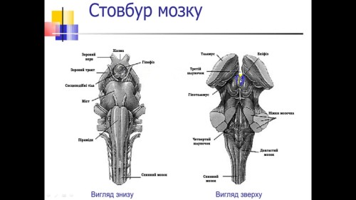 Відіотека.