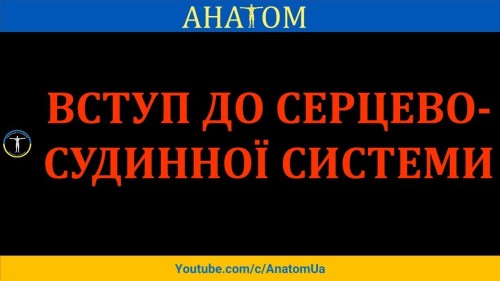 Відіотека.
