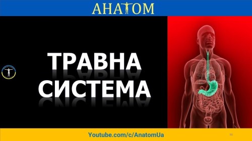 Відіотека.