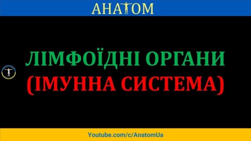 Відіотека.