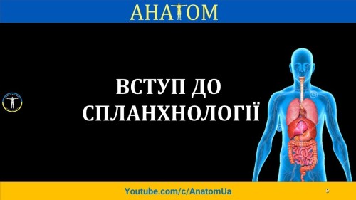 Відіотека.